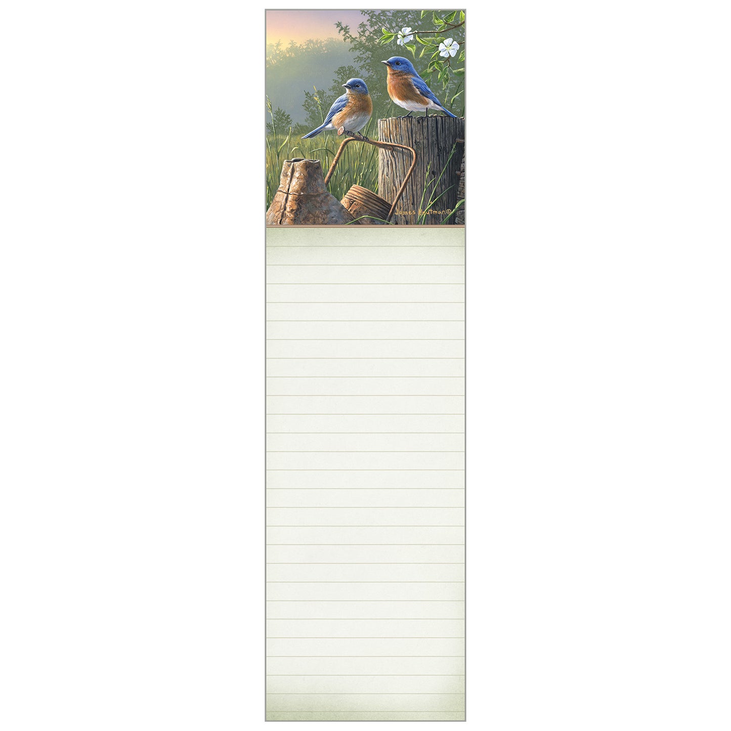 Daybreak Bluebirds Magnetic List pad