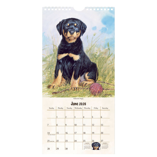 Must Love Dogs 2026 Vertical Wall Calendar
