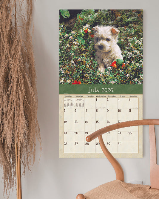 Puppies 2026 Wall Calendar