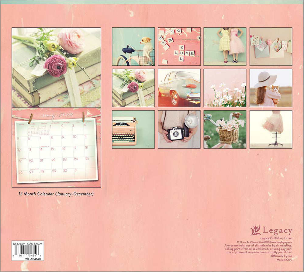 Vintage Pink 2024 Wall Calendar