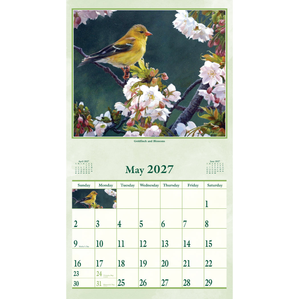 Wings of Nature 2027 Wall Calendar