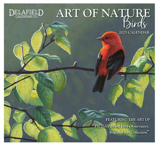 Art of Nature Birds 2025 Wall Calendar