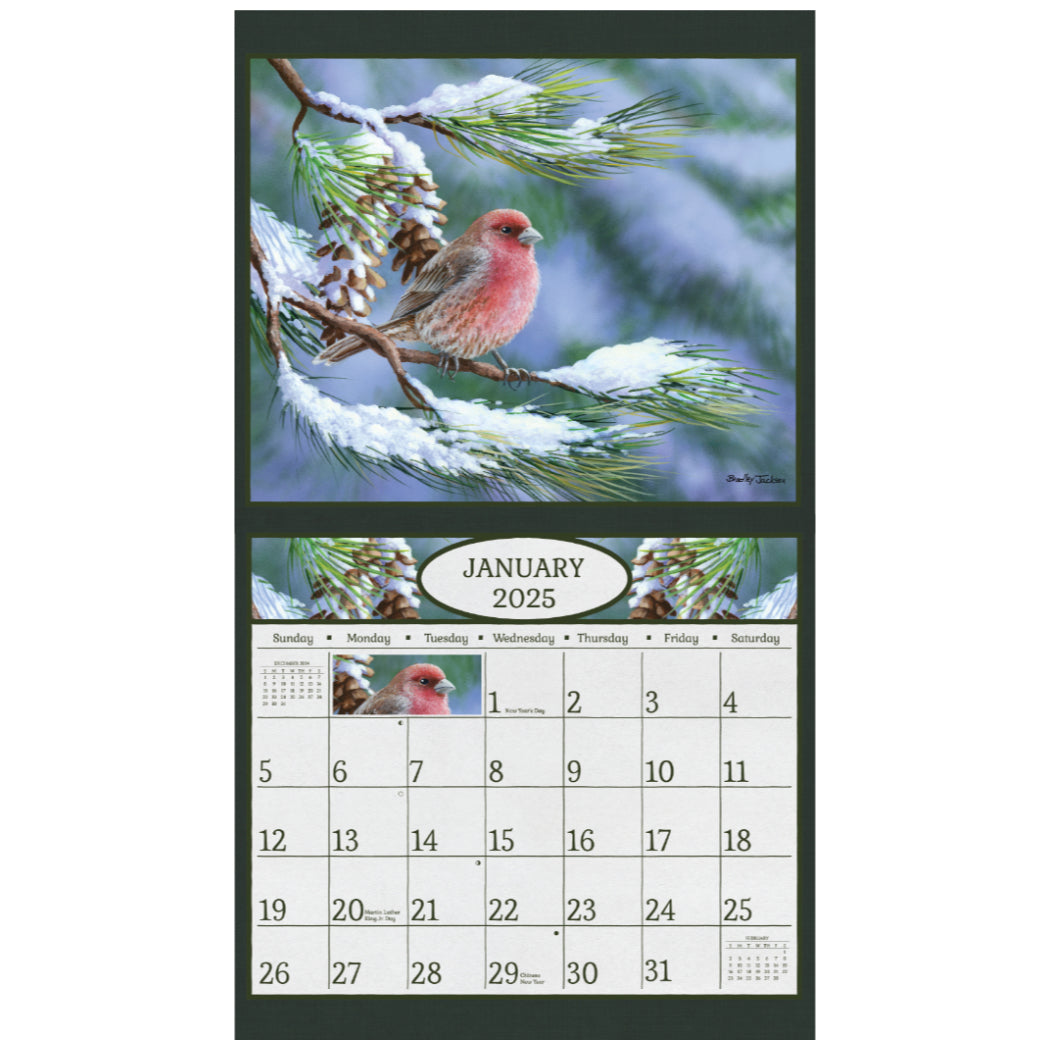 Beauty of Songbirds 2025 Wall Calendar The Lang Store
