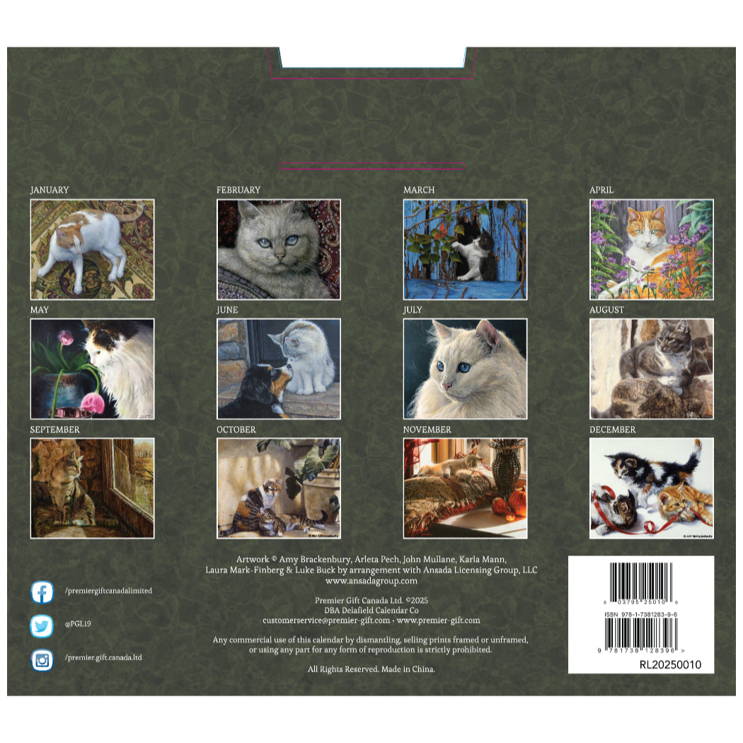 Cats at Home 2025 Wall Calendar