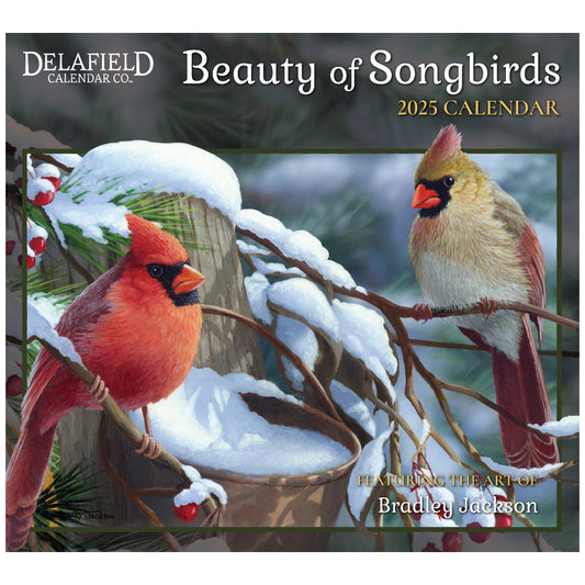 Art of Nature Birds 2025 Wall Calendar