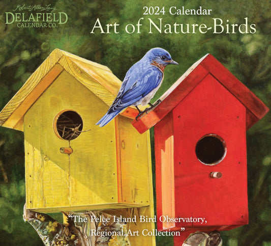 Art of Nature Birds 2024 Wall Calendar