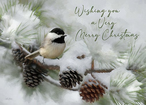 Chickadee in the Pines Boxed Christmas Cards
