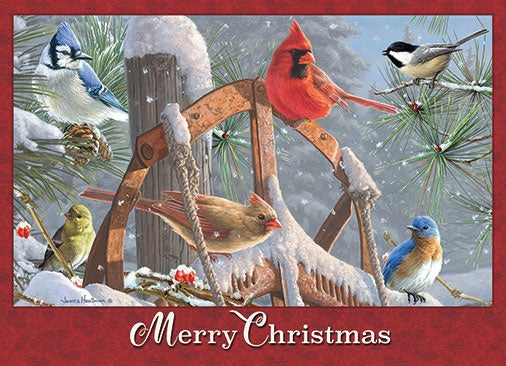 Fresh Snow Boxed Christmas Cards