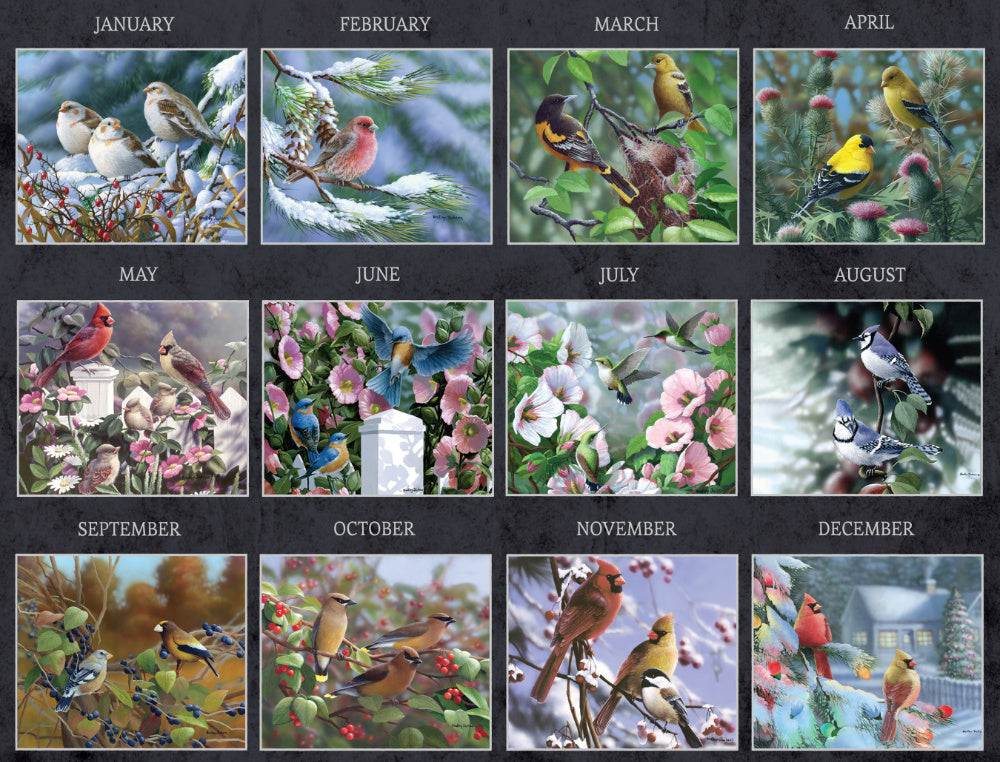Beauty of Songbirds 2024 Wall Calendar
